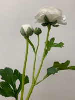 Bunga Ranunculus Buatan Berkualitas Tinggi Warna Putih, Bunga Lateks Real Touch untuk Buket Pernikahan, Dekorasi Centerpieces, dan Rangkaian Bunga