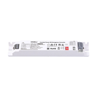 Alimentation d'urgence LED 3W 5W 8W IP20 à double mode avec test automatique, homologuée CE CB pour éclairage linéaire tri-proof LiFePO4