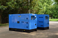 Generador Eléctrico Diésel Silencioso de 15 kVA, 12 kVA, 10 kVA, 20 kW de Perkins, Fabricante OEM Autorizado, Diseñado para Uso Residencial