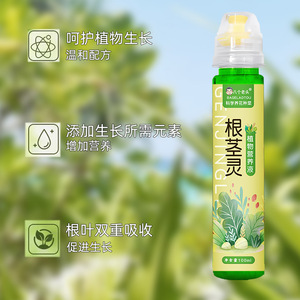 Solution nutritive pour racines et tiges de plantes Eight Old Men Root And Stem Spirit 100ml pour Pothos, Money Tree, succulentes et hydroponie - Product Image 1
