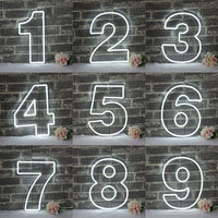 Lampes LED néon portables en acrylique de 60 cm, 90 cm, 120 cm, numéros et lettres à piles pour événements extérieurs, propositions de mariage et fêtes de fiançailles