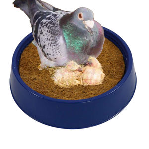 กล่องทำรังนกพิราบตะกร้าเก็บไข่นกเตียงบ่มเพาะสัตว์ปีกบ้านเพาะพันธุ์กระต่ายนกพิราบ - Product Image 1