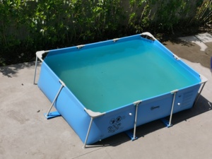 Outdoor Above Ground Family Swimming <strong>Pool</strong> Rectangular Metal Frame With PVC For Kids And Adults For Backyard Garden Patio - Product Image 2