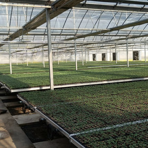 Multi span casa verde marcos de acero galvanizado con sistema de refrigeración para el cultivo de caracoles - Product Image 2