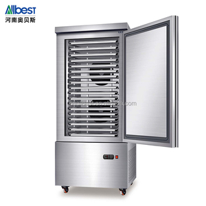 Refrigerador y Congelador Profesional de Acero Inoxidable, Apto para Hoteles y Carnicerías, Modelo Vertical de Baja Temperatura - Product Image 2