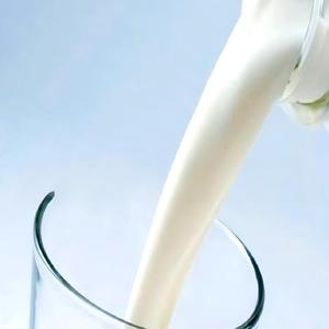 Caoutchouc <span class=keywords><strong>latex</strong></span> blanc laiteux DRC à 60 % d'ammoniac, <span class=keywords><strong>sans</strong></span> TMTD, pour ballons et préservatifs - Product Image 1