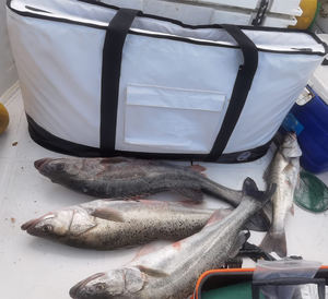 Хит продаж, рыболовные сумки - Product Image 3