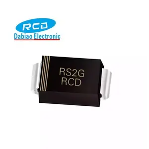 Bridge Rectifier Diode E2 Smd Zener Diode 1n4007 RS2g Diode