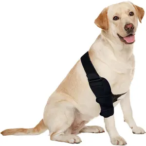 Bán buôn Dog cú đúp đầu gối Breathable Hock có thể điều chỉnh phục hồi tay áo hỗ trợ Pet Dog cú đúp đầu gối