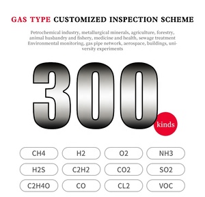 Détecteur multi-gaz portable DUOTESI pour monoxyde de carbone (CO), sulfure (H2S) et gaz combustibles - Certifié CE, écran LCD, garantie 12 mois - Product Image 5
