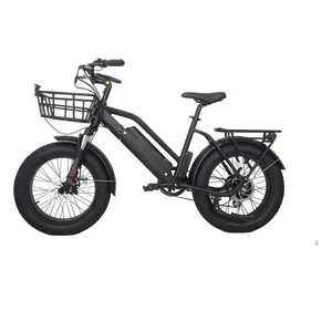2022 경쟁력있는 가격 48v 750w 지방 타이어 전기 자전거 48v 14ah 배터리