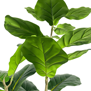 Albero di Ficus Lyrata Artificiale da 1,5 m in Poliestere, Pianta Sempreverde Artificiale per Interni/Esterni, Regalo di Inaugurazione Casa - Product Image 3