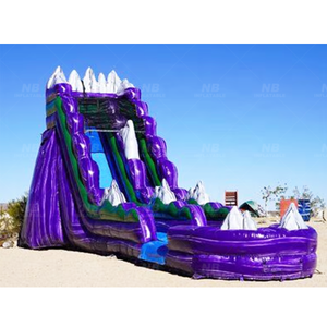 Rental Adult Tropical Theme Beach Party Double Lane <b>Inflatable</b> Water Slide With PVC Material and 3-Year Warranty for Backyard Do - Product Image 2