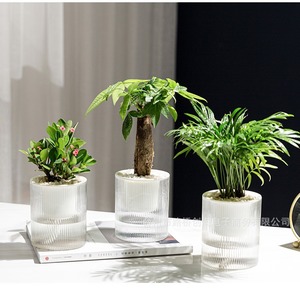 Pot de fleurs transparent Light Tide, minimaliste, pour bureau, plantes d'intérieur, culture hydroponique, plantes en pot, décoration de bureau - Product Image 1