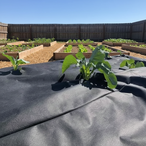 Material de Personalización, Tela de Forro Fusible No Tejida con Relieve, Fieltro Spunbonded de Polipropileno, Tela de Malla de Aguja, <span class=keywords><strong>110</strong></span> GSM, Peso Pesado - Product Image 2