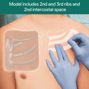 Simulateur de pneumothorax à tension en PVC pour l'entraînement à la décompression par aiguille en écoles de médecine - Product Image 2