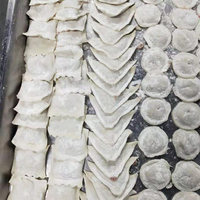 Hirigin — Machine de cuisson professionnelle, ravioli, pour Restaurant et hôtel