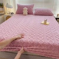 Ensemble de couvre-lit, couvre-lit, housse de protection pour lit, drap rembourré, kit de literie avec 2 taies d'oreiller