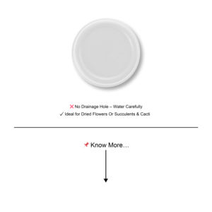 Maceta Reutilizable Ligera y Duradera de Diseño Moderno Estándar (Tamaño Grande), Florero/Maceta de Plástico para Decoración del Hogar - Product Image 6