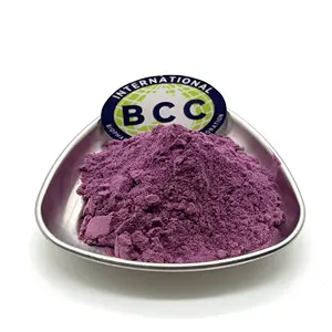 Freeze Dried Black Currant Fruit Flavor Powder Blackcurrant Fruit Juice Concentrate Powder