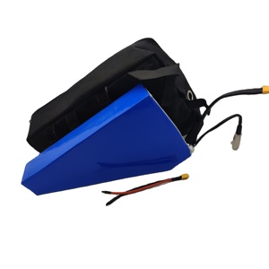 Batterie triangulaire 18650 pour <span class=keywords><strong>vélo</strong></span> <span class=keywords><strong>électrique</strong></span>, trottinette <span class=keywords><strong>électrique</strong></span> 24V 36V 48V 52V 60V 72V 5Ah 20Ah 29Ah 30Ah 40Ah - Product Image 1