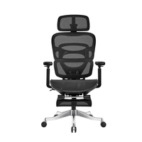 Nouvelle chaise de bureau ergonomique en maille 4D avec appui-tête, soutien lombaire à 6 rails et repose-pieds réglable pour bureau à domicile et salon