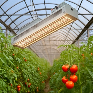 Nueva Llegada, Bombillas LED para Cultivo Par38 de 320W PTU COB, Luces LED de Espectro Completo para Cultivo de Plantas en Interiores - Product Image 4