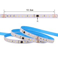 WS2811 Bande de LED pour course de chevaux DC24V 2835SMD 120Leds/m avec contrôleur d'écran tactile Bande lumineuse intelligente pour eau courante
