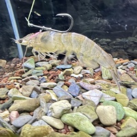 10 pièces hameçons de pêche crevettes vivantes crochet fixe en acier au carbone barbelé avec trous 2/3/4 poisson-chat basse pêche matériel de pêche leurre