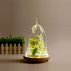 Cúpula de Cristal La Bella y la Bestia con Base de Madera e Iluminación LED - Product Image 5