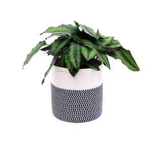 Corde De coton Panier Moderne Plancher Intérieur Jardinières, Organisateur De Stockage Panier Tissé Décor À <span class=keywords><strong>La</strong></span> <span class=keywords><strong>Maison</strong></span> - Product Image 2