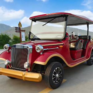 Auto Clásico Eléctrico de Lujo de Alta Calidad para Turismo, Estilo Panorámico RC-03, 4-17 Asientos, Velocidad Máxima de 30-40 km/h, Color Personalizado - Product Image 1