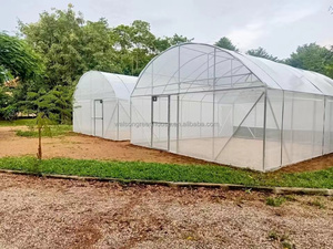 Offre Spéciale serre agricole serre cadre métal horticulture serre tropicale <span class=keywords><strong>prix</strong></span> - Product Image 4