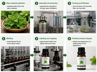 Huile Essentielle de Menthe Verte 100% Pure et Naturelle, Marque Privée Personnalisée, pour Diffuseur d'Aromathérapie, Soins de la Peau, Huile de Massage, OEM