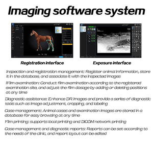 Équipement radiologique numérique pour chiens et autres animaux de compagnie Système d'imagerie vétérinaire DR Instruments vétérinaires - Product Image 5