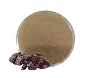 100% murni ekstrak Jamur reishi/lucid ganoderma ekstrak/ganoderma lucidum ekstrak bubuk 10:1