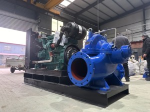 ราคาของปั๊มดีเซลที่มีอัตราการไหล 400 ลูกบาศก์เมตรต่อชั่วโมง ใช้สำหรับการชลประทานทางการเกษตร - Product Image 5