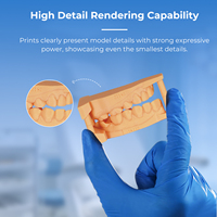 Resina para Impresora 3D, Resina de Alta Precisión para Modelos Dentales, Resina para Modelos Dentales para Clínicas y Hospitales