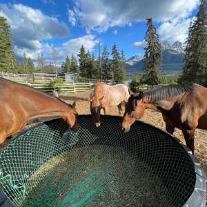 Rede de Alimentação Lenta para Cavalos, Alimentador Retangular em Rede para Feno, Personalizável - Product Image 1