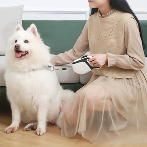 Correa de perro LED de 5M en stock, correa de perro retráctil automática luminosa con luz LED, colores de plomo para mascotas - Product Image 3