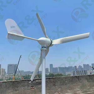 กังหันลมแนวนอน R&X RX-1000M 2KW 24V 48V 96V แม่เหล็กแรงสูง พลังงานลมฟรี เครื่องกำเนิดไฟฟ้าพลังงานลม CE ROHS RX-1000M 600W ถึง 3KW - Product Image 4