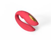 Kabelloser Ferngesteuerter Aufladbarer Tragbarer Vibrator für Frauen & Paare mit 10 Frequenzen Klitoris G-Punkt Stimulator - Geschenkbox