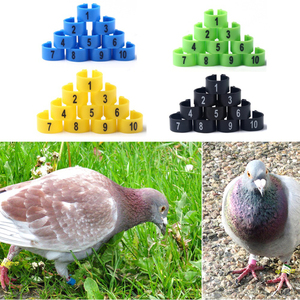 Chine Rfid Animal Ring Tags Carrier Pigeon Ring Tags avec des couleurs personnalisées pour le suivi des pigeons - Product Image 6