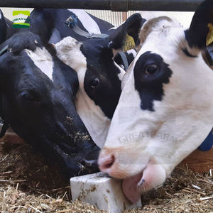 낙농장을위한 가축 보충제 종합 비타민 소금 블록 판매 - Product Image 6