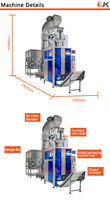 Machine de remplissage, pesage et emballage entièrement automatique pour glace pilée en flocons verticaux, blocs de glace, tubes et sacs de glace en cubes