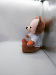Osos de Bajo Moq con grabadora <span class=keywords><strong>10</strong></span> "12" 15 "oso de peluche parlante grabadora de voz oso de peluche personalizado con grabadora de voz - Product Image 3