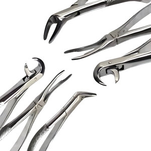 Pinzas de Extracción Dental American Pattern de Acero Inoxidable para Premolares, Instrumentos Quirúrgicos, Proveedor Mayorista - Product Image 1