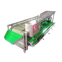 Pruimensorteermachine Fruitsorteermachine Palmdata Appeluikersen Sorteermachine Voor Aardappel