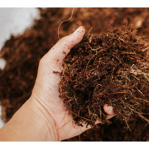 Conditionneur de sol écologique professionnel, tourbe de mousse pour une meilleure aération du sol, développement des racines, croissance durable des plantes - Product Image 4