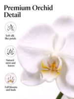 Orchidée Phalaenopsis Artificielle Blanche 72cm avec Pot pour Décoration Intérieure, Mariage, Bureau, Table - Idéale pour le Dropshipping